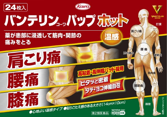 【第2類医薬品】興和新薬株式会社 バンテリンコーワパップホット(24枚)