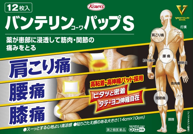 【第2類医薬品】興和新薬株式会社 バンテリンコーワパップS(12枚)