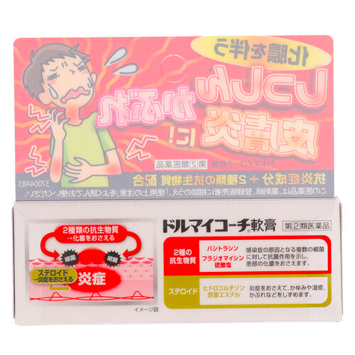 【指定第②類医薬品】ゼリア新薬工業(株) ドルマイコーチ軟膏(6g)