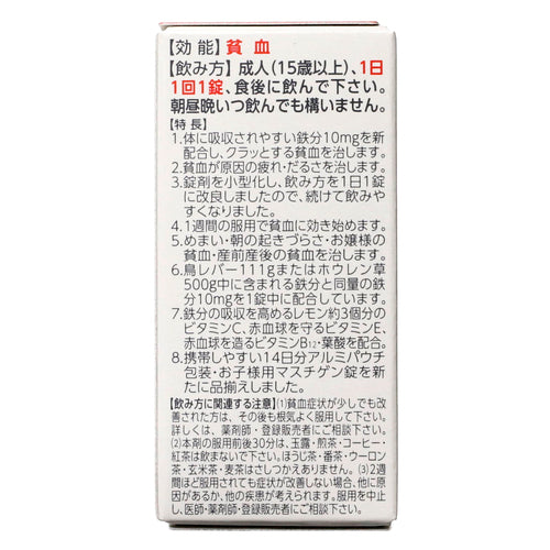 【第2類医薬品】日本臓器製薬(株) マスチゲン錠(30錠)