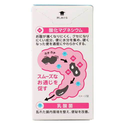 【第3類医薬品】大正製薬(株) ビオフェルミン酸化マグネシウム便秘薬(90錠)