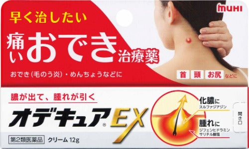 【第2類医薬品】(株)池田模範堂 オデキュアEX(12g)
